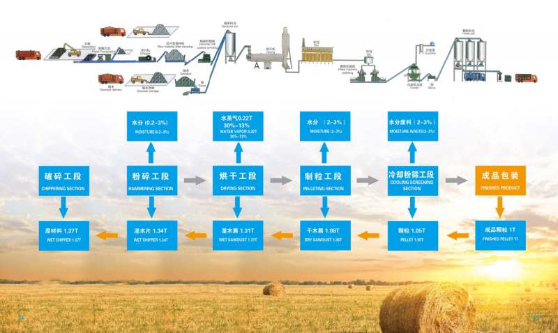 低调看球宣传册_13 - 副本.png